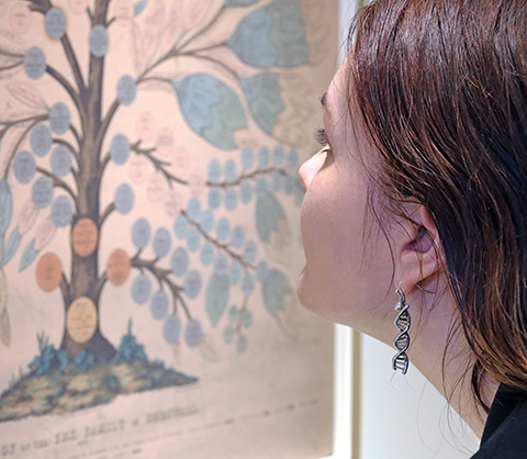 Pondering a Family Tree, image by Claire Vail