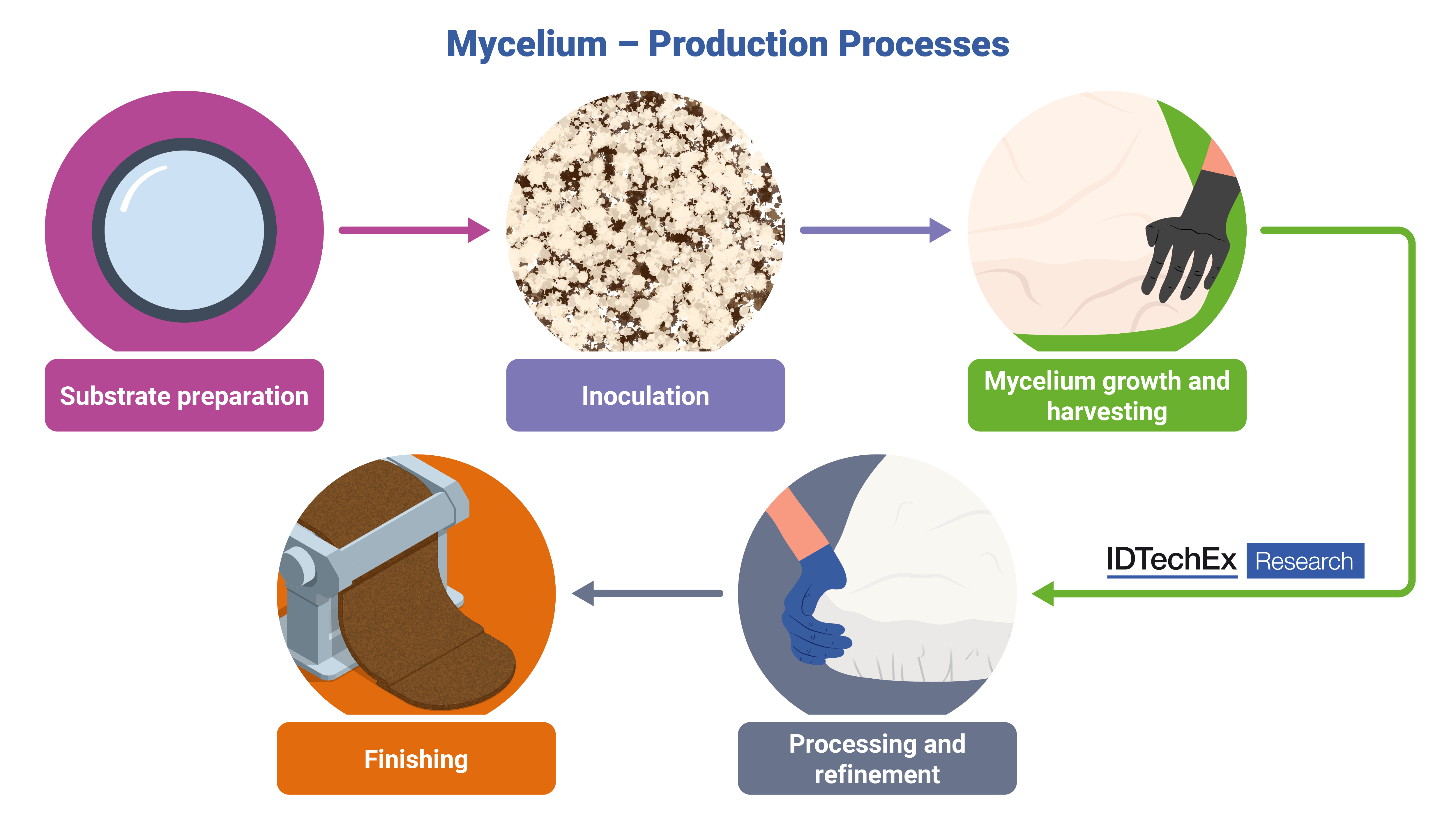 The production process of mycelium leather. Source: IDTechEx