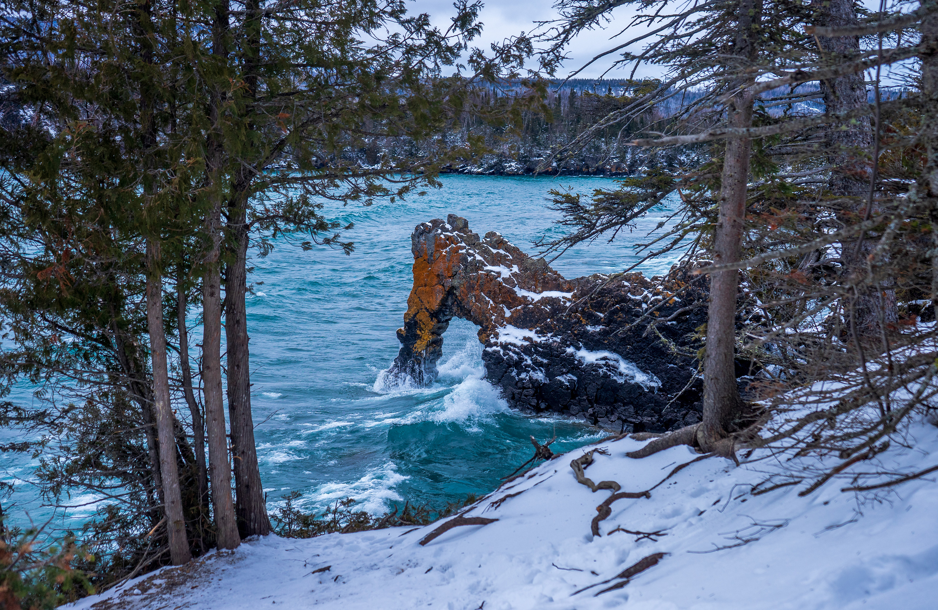 Sealion rock in winter