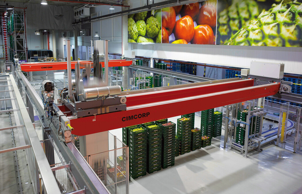 Photo of gantry robots handling crates of fresh produce