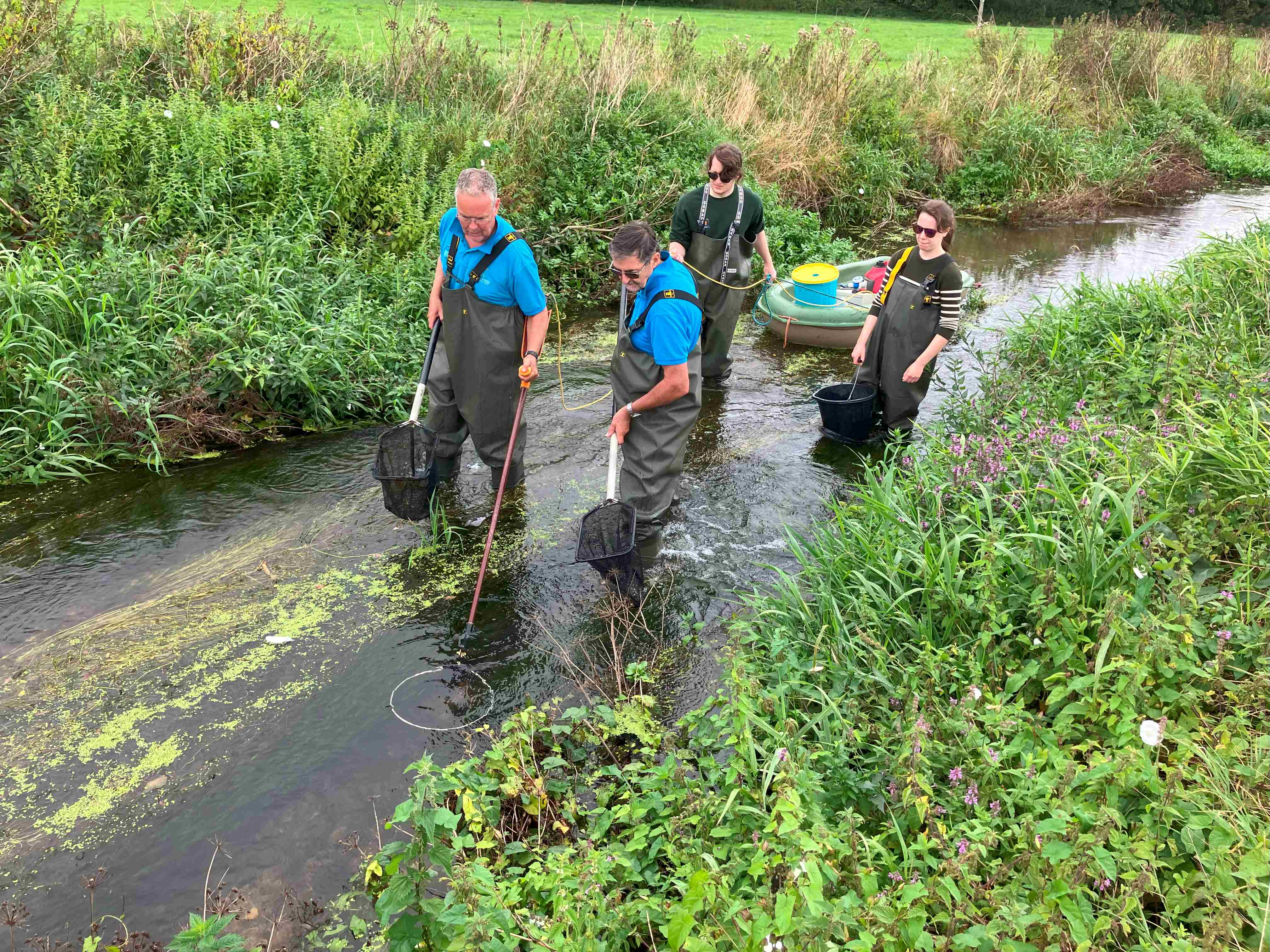 The GWCT Fish Research team electro-fishing on the river Frome near Dorchester in September 2024. c.GWCT 