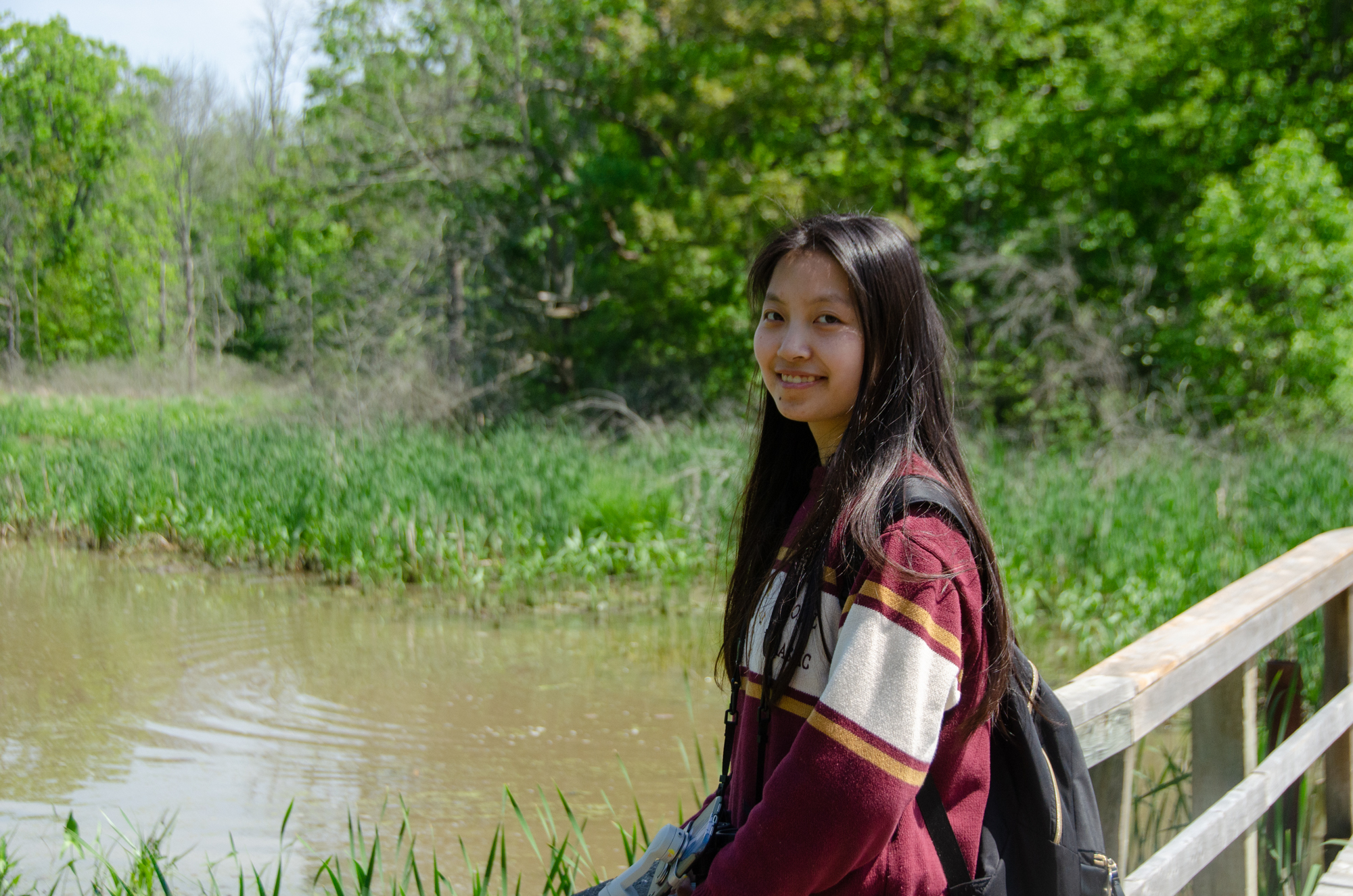 Visiting Selkirk Provincial Park in Summer