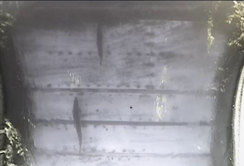 The fish counter detection area showing salmon moving across it.