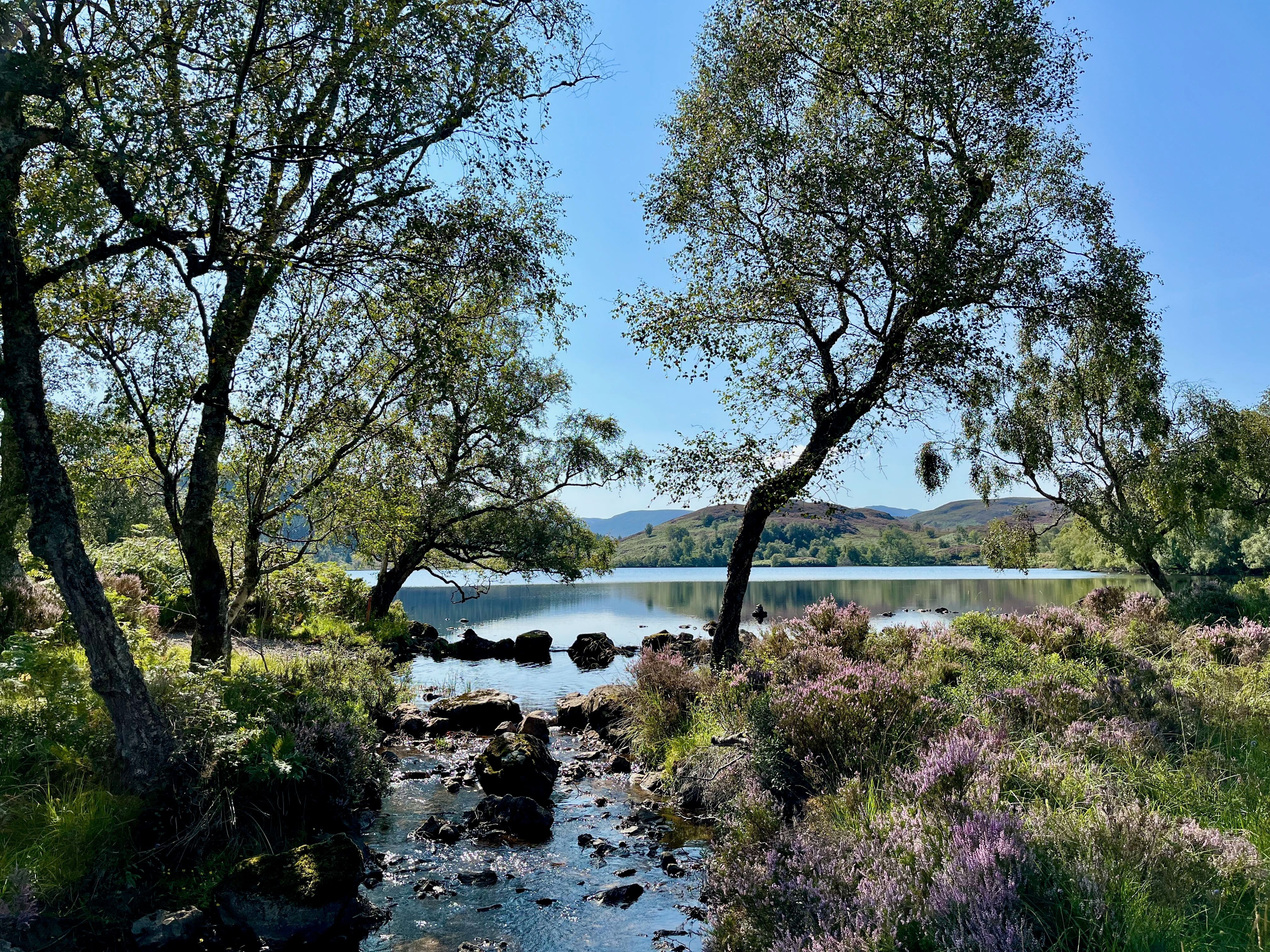 Loch Kemp © Neil Mackenzie, Boleskin Biodiversity Group