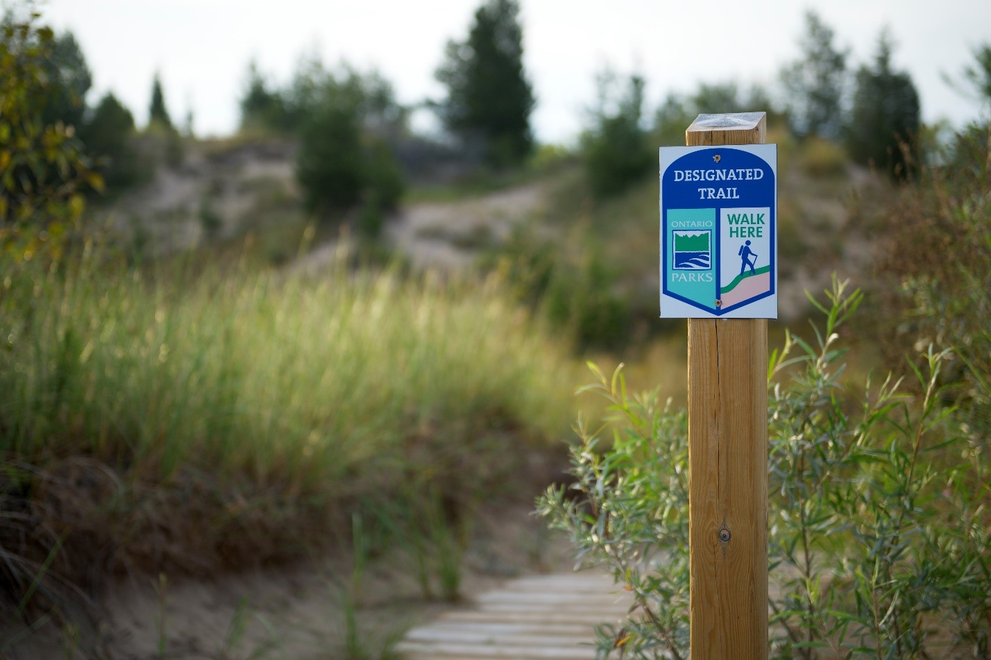 Please stay in the trails in Ontario Parks